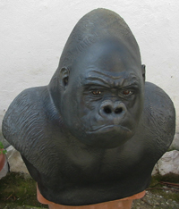 Gorilla